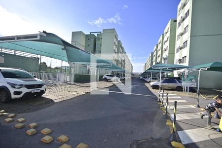 Apartamento para alugar com 2 quartos, 55m² em Loteamento Goiania Viva, Goiânia