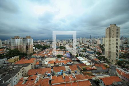 Apartamento à venda com 1 quarto, 25m² em Vila Claudia, São Paulo