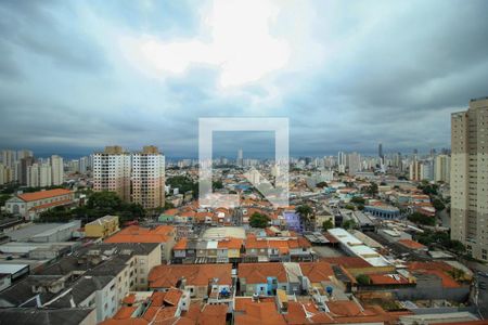 Apartamento à venda com 1 quarto, 25m² em Vila Claudia, São Paulo