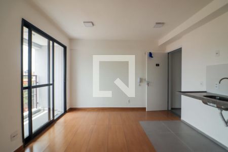 Sala / Cozinha / Lavanderia de apartamento para alugar com 1 quarto, 37m² em Vila Sonia, São Paulo