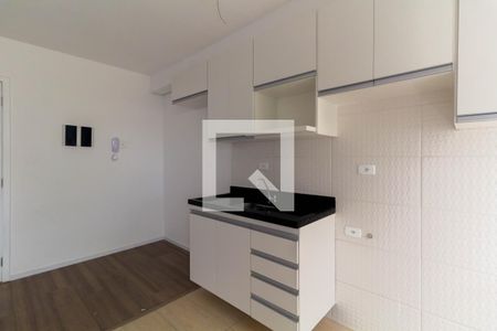 Cozinha de apartamento à venda com 2 quartos, 44m² em Chácara Belenzinho, São Paulo