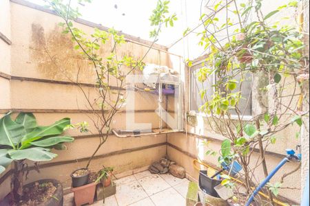 Jardim de inverno de casa para alugar com 3 quartos, 130m² em Vila Suíça, Santo André