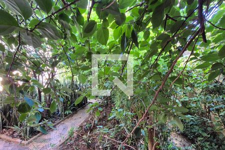 Vista do Quarto 1 de casa à venda com 4 quartos, 160m² em Parque da Figueira, Campinas