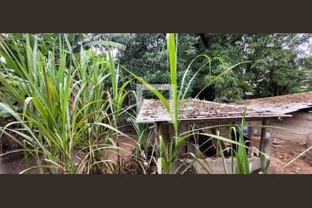 Casa para alugar com 2 quartos, 1000m² em Jardim Casa Branca, Betim