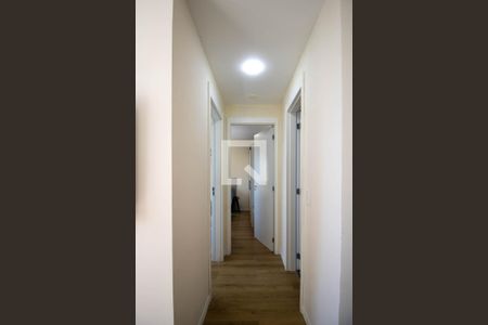 Corredor de apartamento para alugar com 2 quartos, 44m² em Jardim Monte Alegre, Taboão da Serra