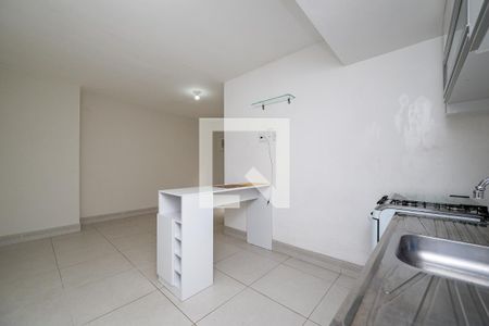 Studio de kitnet/studio para alugar com 1 quarto, 27m² em Vila Santa Catarina, São Paulo