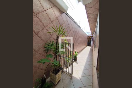 Quintal de casa à venda com 2 quartos, 200m² em São João Climaco, São Paulo