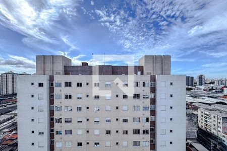 Vista da Varanda de apartamento para alugar com 2 quartos, 56m² em Catumbi, São Paulo