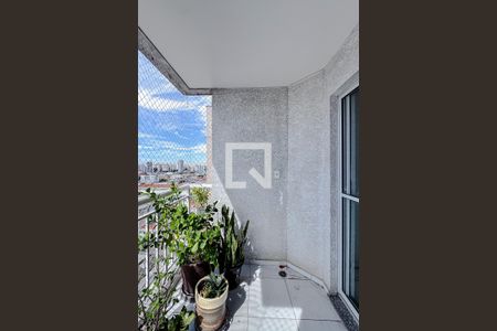 Varanda da Sala de apartamento para alugar com 2 quartos, 56m² em Catumbi, São Paulo