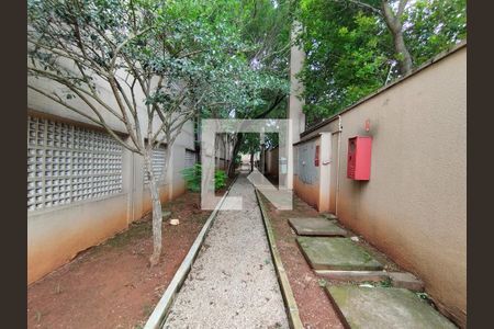 Área Pet de apartamento à venda com 3 quartos, 70m² em Vila Agua Funda, São Paulo