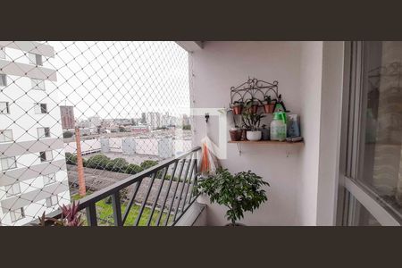 Apartamento à venda com 3 quartos, 67m² em Industrial Autonomistas, Osasco