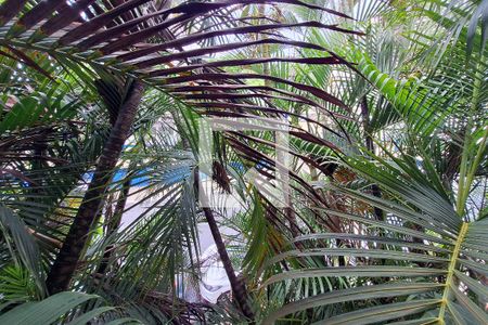 Quarto 1 de kitnet/studio para alugar com 1 quarto, 40m² em Fonseca, Niterói