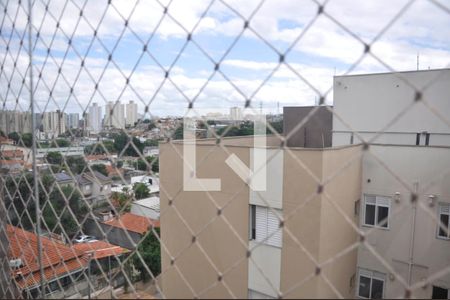 Detalhe - Vista da Varanda da Sala e Sala de Jantar de apartamento para alugar com 3 quartos, 70m² em Nossa Senhora do O, São Paulo