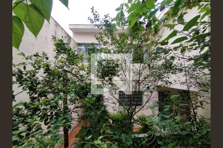 Quintal de casa à venda com 3 quartos, 246m² em Vila Natalia, São Paulo