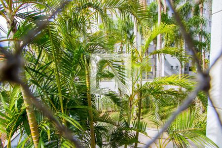 Vista do quarto 1 de apartamento para alugar com 3 quartos, 89m² em Vila Gilda, Santo André