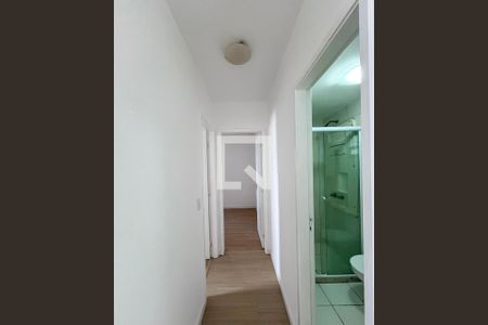 Corredor de apartamento para alugar com 2 quartos, 52m² em Vila Liviero, São Paulo