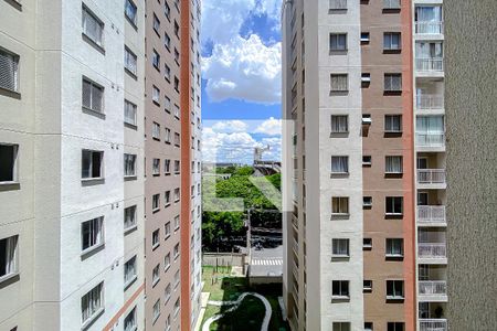 Apartamento para alugar com 2 quartos, 34m² em Canindé, São Paulo