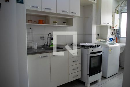 Cozinha de apartamento para alugar com 2 quartos, 45m² em Maranhão, São Paulo