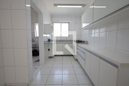 Cozinha de apartamento para alugar com 3 quartos, 97m² em Campestre, Santo André
