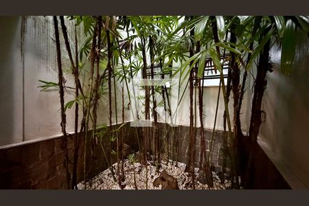 Jardim de casa à venda com 3 quartos, 150m² em Jardim Ester Yolanda, São Paulo