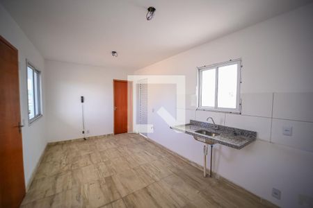 Sala/Cozinha de apartamento para alugar com 2 quartos, 39m² em Parque Boturussu, São Paulo