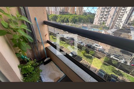 Apartamento à venda com 3 quartos, 79m² em Chácara Primavera, Campinas