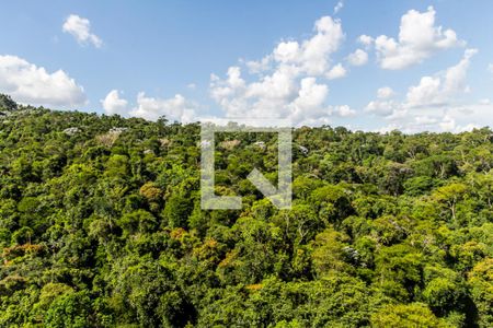 Vista da Sala de apartamento para alugar com 5 quartos, 367m² em Residencial Tambore Iii, Santana de Parnaíba
