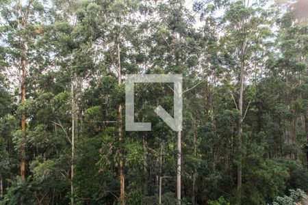 Vista da Varanda de apartamento para alugar com 3 quartos, 202m² em Residencial Tambore Iii, Santana de Parnaíba