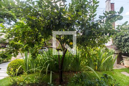 Vista da Sala de casa de condomínio para alugar com 4 quartos, 360m² em Alphaville, Santana de Parnaíba