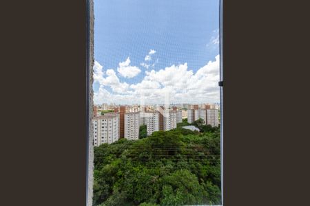 Quarto 1 -Janela de apartamento para alugar com 2 quartos, 43m² em Jardim Iris, São Paulo