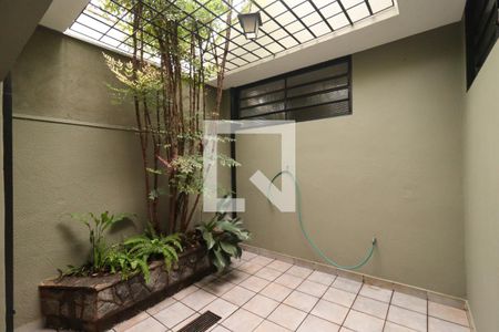 Jardim de inverno de casa para alugar com 4 quartos, 250m² em Jardim Macedo, Ribeirão Preto