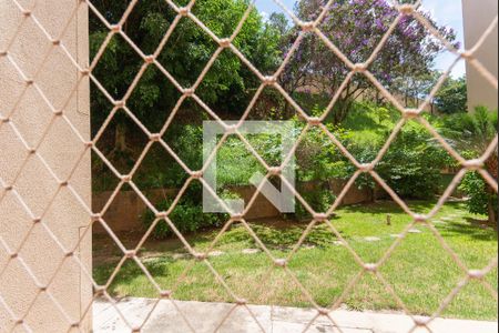 Sacada da Sala de apartamento para alugar com 3 quartos, 65m² em Loteamento Parque São Martinho, Campinas