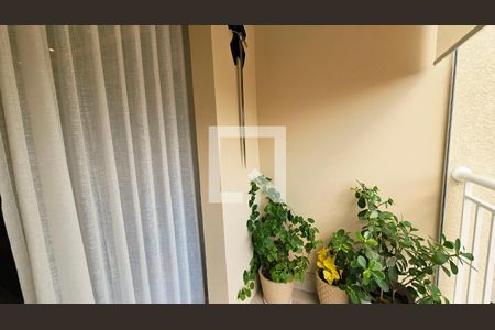 Apartamento à venda com 3 quartos, 71m² em Vila Nambi, Jundiaí