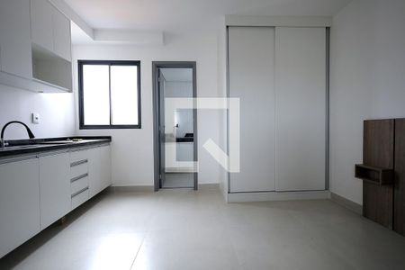 Sala, Cozinha, Quarto de apartamento para alugar com 1 quarto, 23m² em Vila Sao Pedro, Santo André