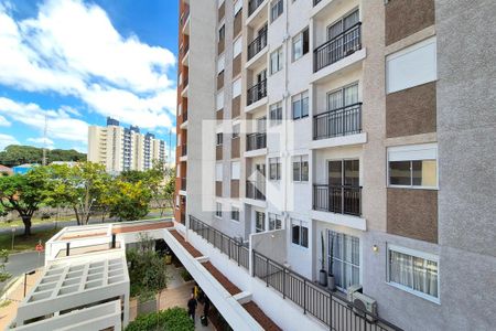 Vista do Quarto 1 de apartamento para alugar com 2 quartos, 57m² em Conceicao, Campinas