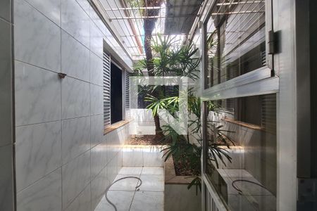 Sala - Jardim de inverno de casa para alugar com 5 quartos, 500m² em Quinta da Paineira, São Paulo