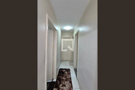 Corredor de apartamento para alugar com 2 quartos, 57m² em Parque das Camelias, Campinas