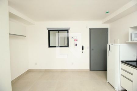 Sala/Cozinha de apartamento para alugar com 1 quarto, 20m² em Vila Sao Pedro, Santo André