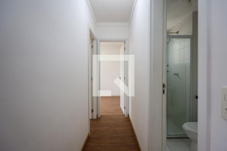 Corredor de apartamento para alugar com 2 quartos, 45m² em Jardim Helga, São Paulo