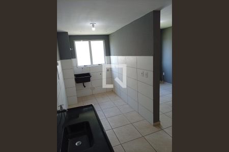 Cozinha de apartamento para alugar com 2 quartos, 52m² em Chapéu do Sol, Porto Alegre