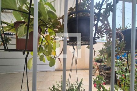 Vista da Sala de casa à venda com 3 quartos, 281m² em Parque Santa Bárbara, Campinas