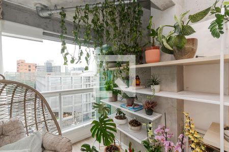 Varanda de apartamento para alugar com 3 quartos, 74m² em Chácara Santo Antônio, São Paulo