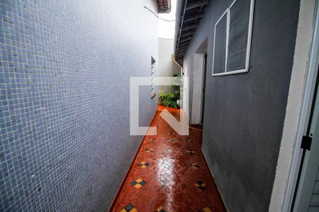 Quintal de casa para alugar com 2 quartos, 180m² em Guilhermina, Praia Grande