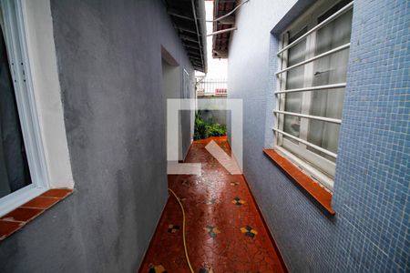 Quintal de casa para alugar com 2 quartos, 180m² em Guilhermina, Praia Grande
