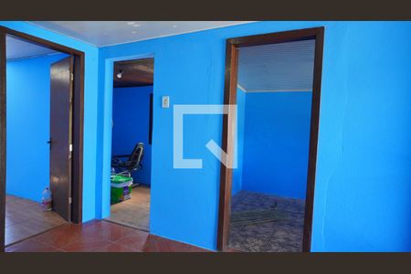 Cozinha de casa para alugar com 2 quartos, 60m² em Santa Tereza, Porto Alegre