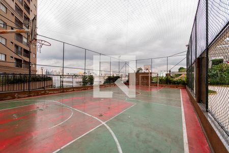 Quadra Esportiva de apartamento para alugar com 2 quartos, 61m² em Jardim Tupanci, Barueri