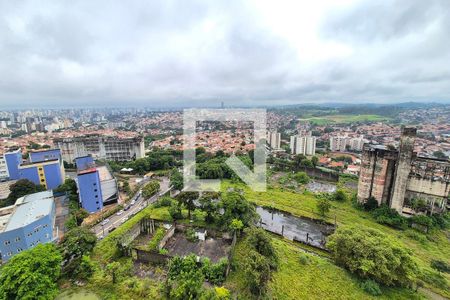 Vista do Quarto 1 de apartamento para alugar com 2 quartos, 60m² em Jardim Santa Eudoxia, Campinas