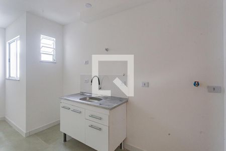Cozinha de apartamento para alugar com 1 quarto, 33m² em Cursino, São Paulo