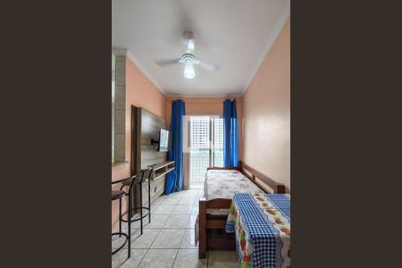 Sala de apartamento para alugar com 1 quarto, 30m² em Cidade Ocian, Praia Grande