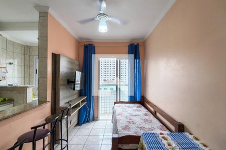 Sala de apartamento para alugar com 1 quarto, 30m² em Cidade Ocian, Praia Grande